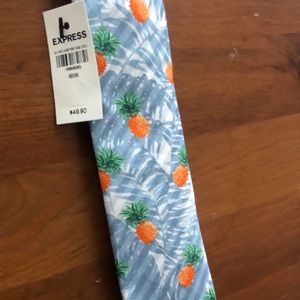 Men’s EXPRESS Tie- Skinny